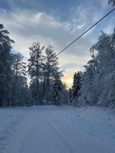 a snow covered road with trees and a telephone wire at Sjönära Villa Lilla Emma, Jädraås, nära Kungsberget in Jädraås