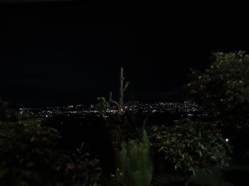 a tree at night with a city in the background at Villa Lumbung Salak in Bogor