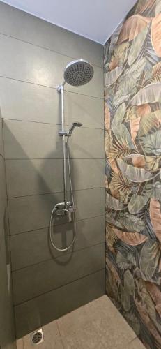 a shower in a bathroom with a wall at Ojochal Gardens in Ojochal