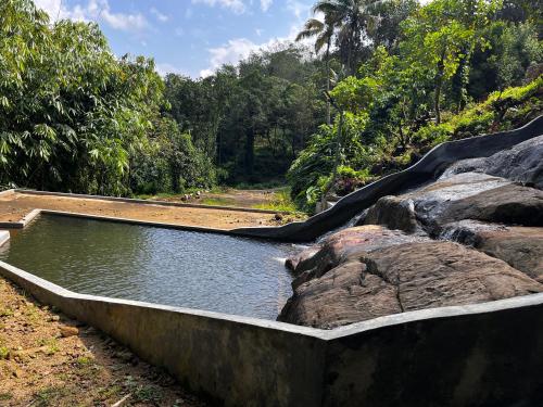 a pool of water next to some rocks and trees at MANAPURATH Homestay in Mamalakandam