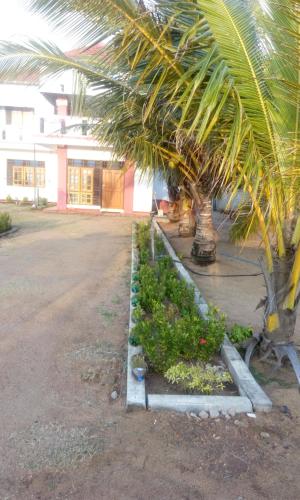 Zahrada ubytování Beach Guest House Addalaichenai