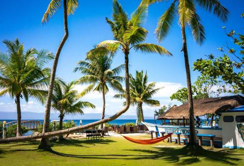 a beach with palm trees and a hammock at Polaris Beach and Dive Resort Inc in Loon