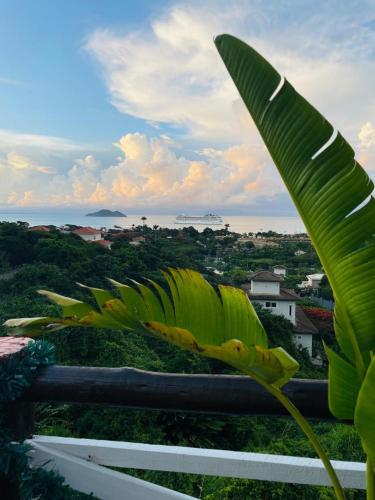 a large green leaf on top of a fence at Pousada Bella vista in Búzios