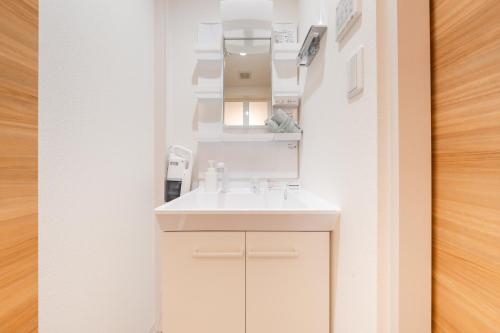 a white bathroom with a sink and a mirror at Urban Villa Sumida in Tokyo