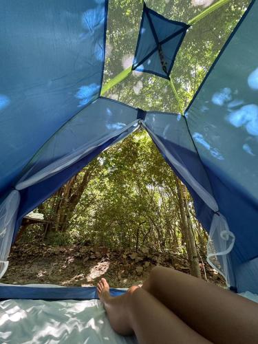 Fotografie z fotogalerie ubytování Iduna Hostel v destinaci Pipa