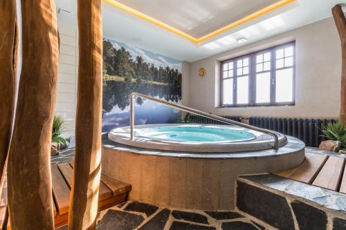 Fotografie z fotogalerie ubytování Hotel Franz v Rejvízu