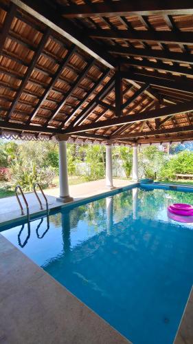 a swimming pool with two frisbees in it at Rosastays Panjim North Goa in Goa