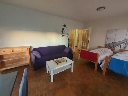 un salon avec un canapé et un lit dans l'établissement F2 proche centre Thonon, à Thonon-les-Bains
