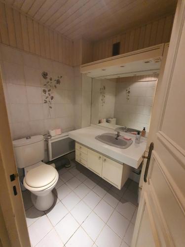 une salle de bain avec toilettes et lavabo dans l'établissement F2 proche centre Thonon, à Thonon-les-Bains