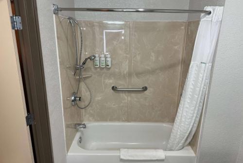 a bathroom with a shower and a bath tub with a shower at Wingate by Wyndham Sioux City in Sioux City