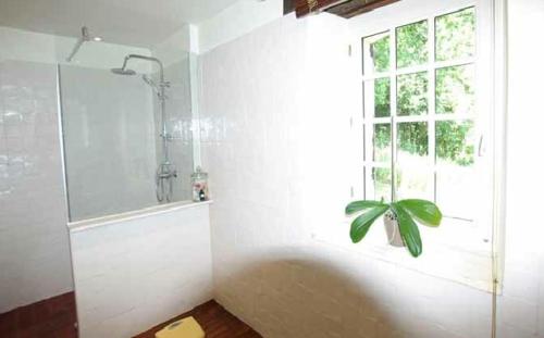 La salle de bains est pourvue d'une baignoire, d'une fenêtre et d'une plante. dans l'établissement Demeure périgourdine en pleine nature, à Veyrines-de-Vergt