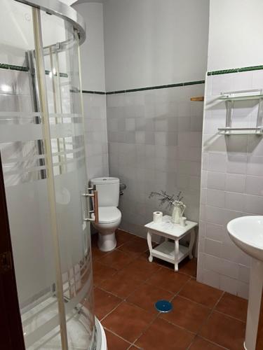 a bathroom with a shower and a toilet and a sink at Casa Puente ROMANO cerca de Sevilla in Alcalá de Guadaira