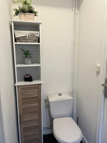 Elle comprend une petite salle de bains pourvue de toilettes et d'une étagère. dans l'établissement Appartement au calme 3 personnes, à Angers