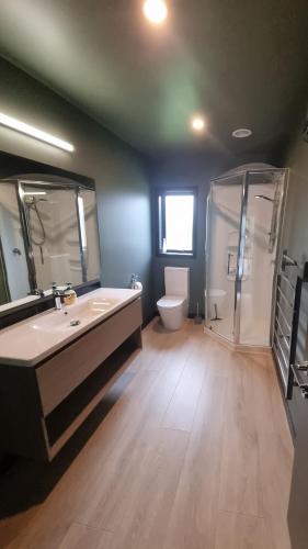 a bathroom with a sink and a shower and a toilet at Lake Opuha House in Ashwick Flat