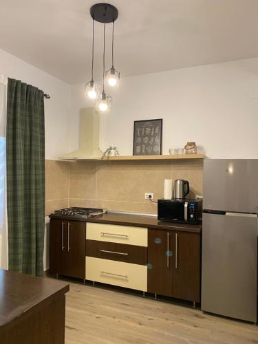 a kitchen with a refrigerator and a counter top at Vila Dani in Sinaia