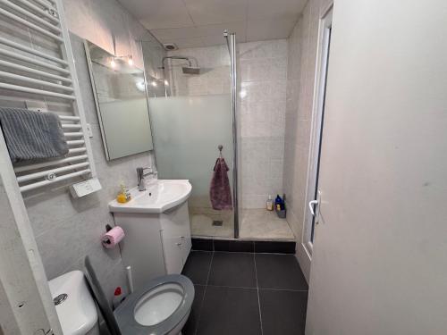 une salle de bain avec une douche, des toilettes et un lavabo dans l'établissement Flat in the center of Paris, à Paris