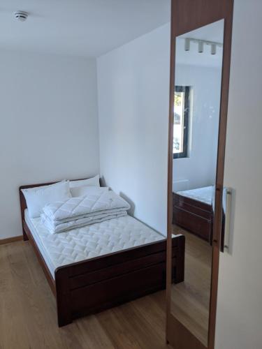 a bedroom with a bed and a mirror at Villa Evergreen in Kopaonik
