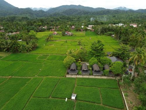 an aerial view of a farm with green grass at Gino's Place - Guest House & Jungle Trekking in Bukit Lawang