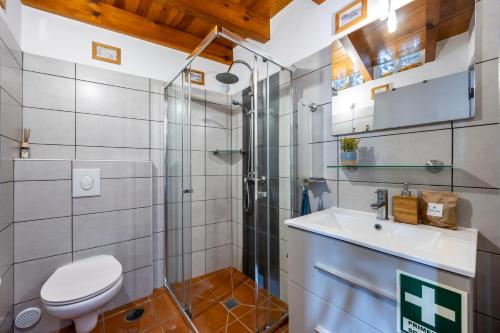 a bathroom with a shower and a toilet and a sink at Casa Azul - Aljezur Town in Aljezur