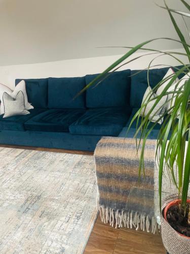 a blue couch in a living room with a potted plant at BeLFAST LOFT - FREE SECURE ONSITE PARKING AVAILABLE in Belfast