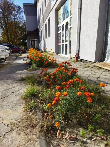a bunch of orange flowers in front of a building at Апарт-готель Олімпік in Lviv