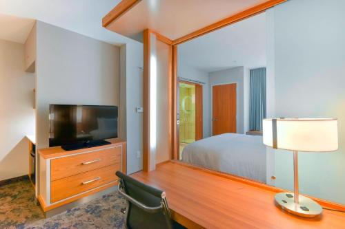 a bedroom with a bed and a desk with a television at SpringHill Suites by Marriott Wilmington Wrightsville Beach in Wilmington
