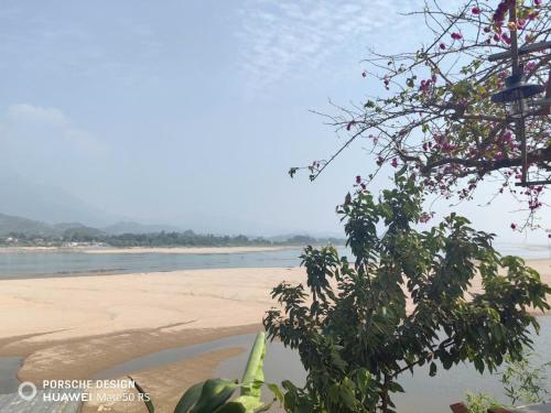 a view of the beach with a tree in the foreground at Homestay nhà gỗ Lan Anh in Phú Thọ