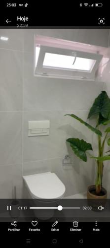 a bathroom with a toilet and a potted plant at Apartamento T3 remodelado in Barcelos