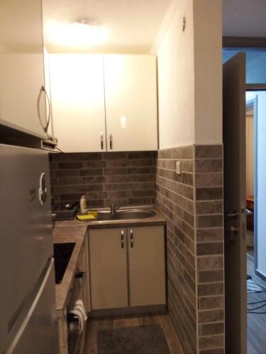 Kuchyň nebo kuchyňský kout v ubytování Apartman Mijatović