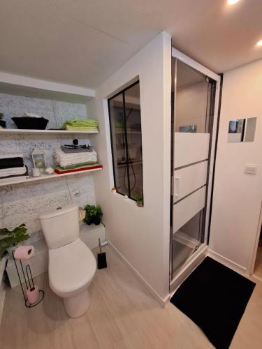 Elle comprend une petite salle de bains pourvue de toilettes et d'une fenêtre. dans l'établissement Le Petit Nicol, à Bergerac