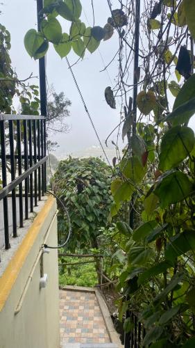 Φωτογραφία από το άλμπουμ του Radiance Art Residency Poombarai Kodaikanal σε Kodaikānāl