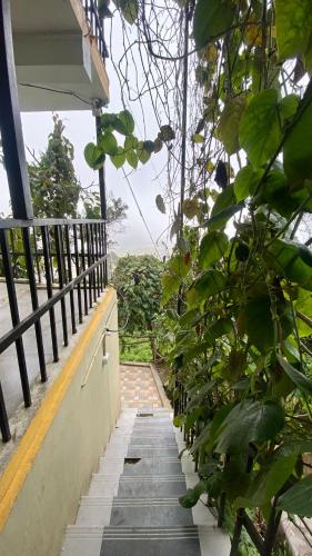 Φωτογραφία από το άλμπουμ του Radiance Art Residency Poombarai Kodaikanal σε Kodaikānāl