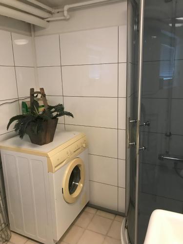 a washing machine in a bathroom with a plant on it at Leilighet i sentrum i Frederikshavn - Grete in Frederikshavn