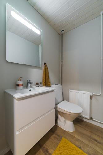 a bathroom with a toilet and a sink and a mirror at Apartment Tullikatu in Kristinestad