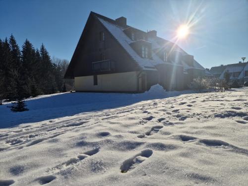 a house in the snow with footprints in the snow at Apartmán s terasou in Říčky