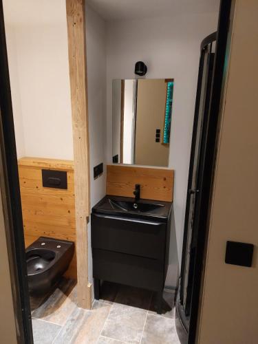 une salle de bain avec un lavabo noir et un miroir dans l'établissement studio cosy Chambéry-chartreuse 3 personnes proche montagne, à Saint-Thibaud-de-Couz
