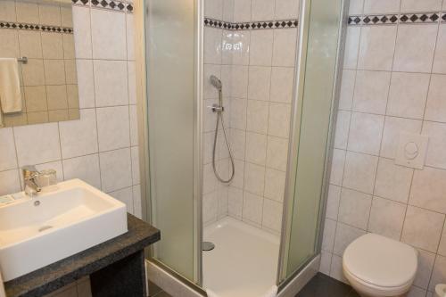 a bathroom with a shower and a toilet and a sink at Auberge Saint-Martin in Orchimont