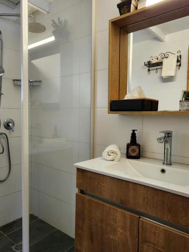 a bathroom with a sink and a shower with a mirror at ברוגע אצל נוגה סוויטה עם בריכה פרטית in Moshav Ramot