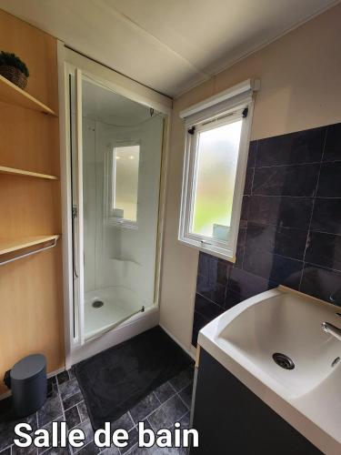 une salle de bain avec un lavabo blanc et une douche dans l'établissement L'indépendant, à Saint-Chéron