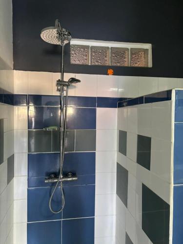 a bathroom with a shower with blue and white tiles at Saka Lodge in Le Gosier