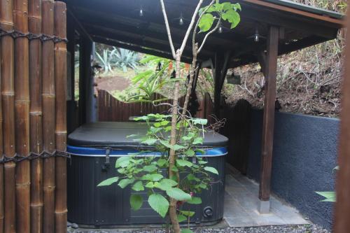 Galería fotográfica de LA LIANE DE JADE 974-Lodge Le Palissandre - jacuzzi privatif - piscine chauffée en Le Bois de Nèfles
