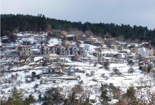 a group of houses on a hill covered in snow at Meterizi Guesthouse in Varvítsa