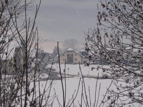 a snow covered yard with a house in the background at Appartamento Hubertus 2 camere in Riscone