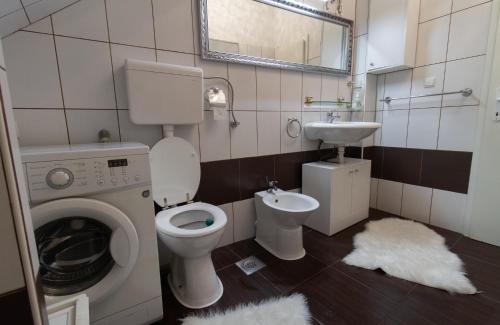 a bathroom with a toilet and a sink and a washing machine at B&B Apartments Coli Apatrman Viola Self check on the Ground floor in Bakar