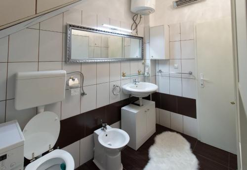 a bathroom with a toilet and a sink and a mirror at B&B Apartments Coli Apatrman Viola Self check on the Ground floor in Bakar