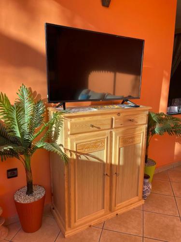 a tv on top of a wooden cabinet with a plant at Joli appartement à Essaouira in Essaouira