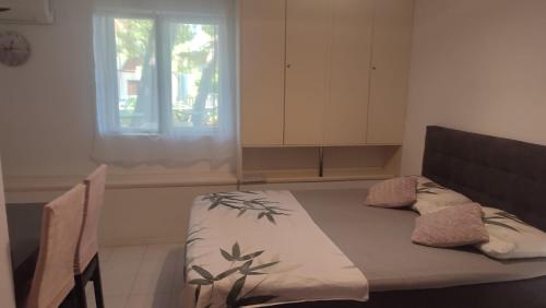 Una cama o camas en una habitación de 5 srca