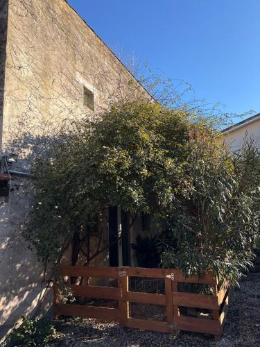 Κήπος έξω από το L'Ecurie en ville