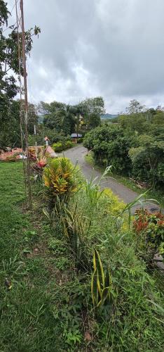 Un paisaje natural cerca de la villa
