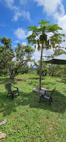 Un jardín fuera de Tranquilidad en el campo Rega